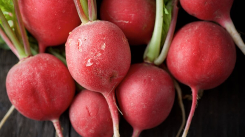 Fonte de nutrientes, o rabanete oferece diversos benefícios para a saúde e adiciona sabor às refeições (Imagem: WINDCOLORS | Shutterstock) 
