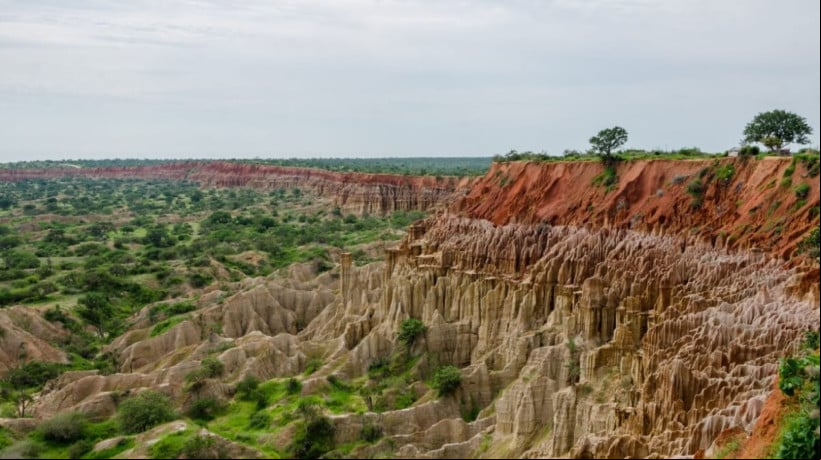 A Angola oferece a oportunidade de observar a vida selvagem de forma única (Imagem: Fabian Plock | Shutterstock) 