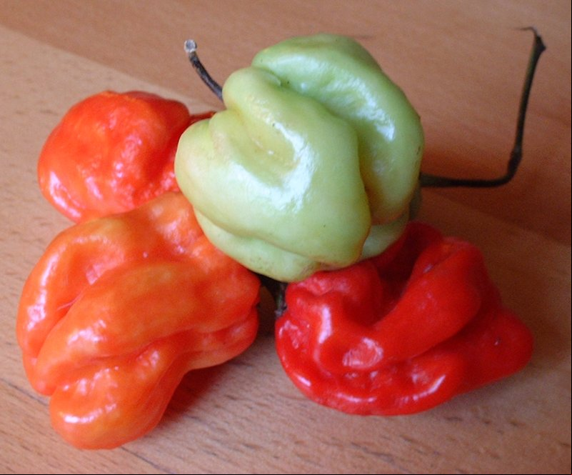 Os países que mais utilizam pimenta na culinária costumam ser aqueles com climas quentes e culturas gastronômicas ricas em temperos. Aqui estão alguns deles e seus quitutes principais que incluem pimenta:
 